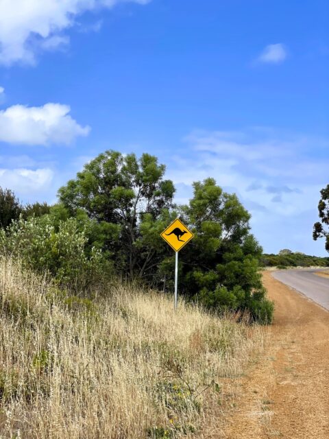 schild australien