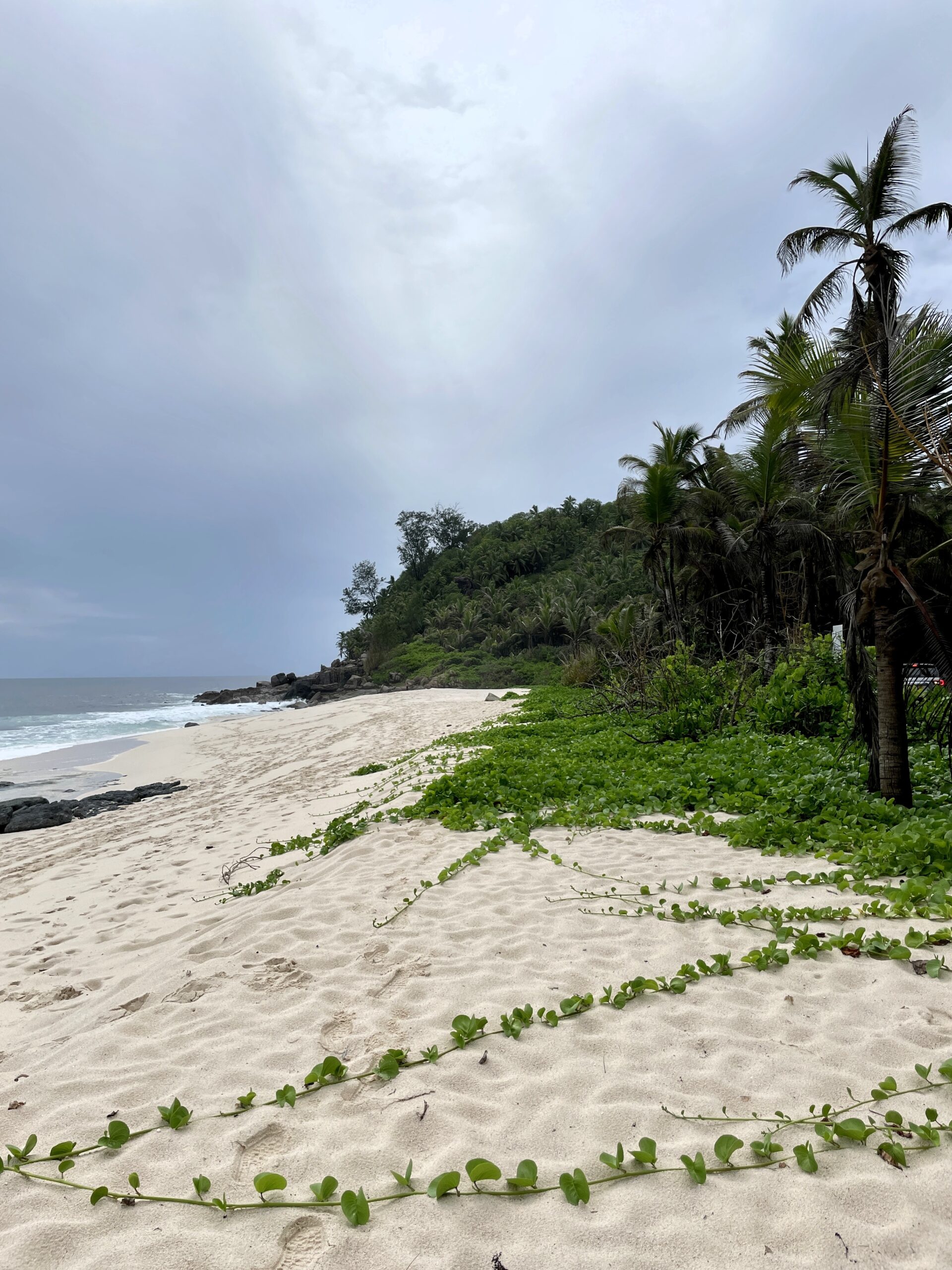 Anse Bazarca Seychellen