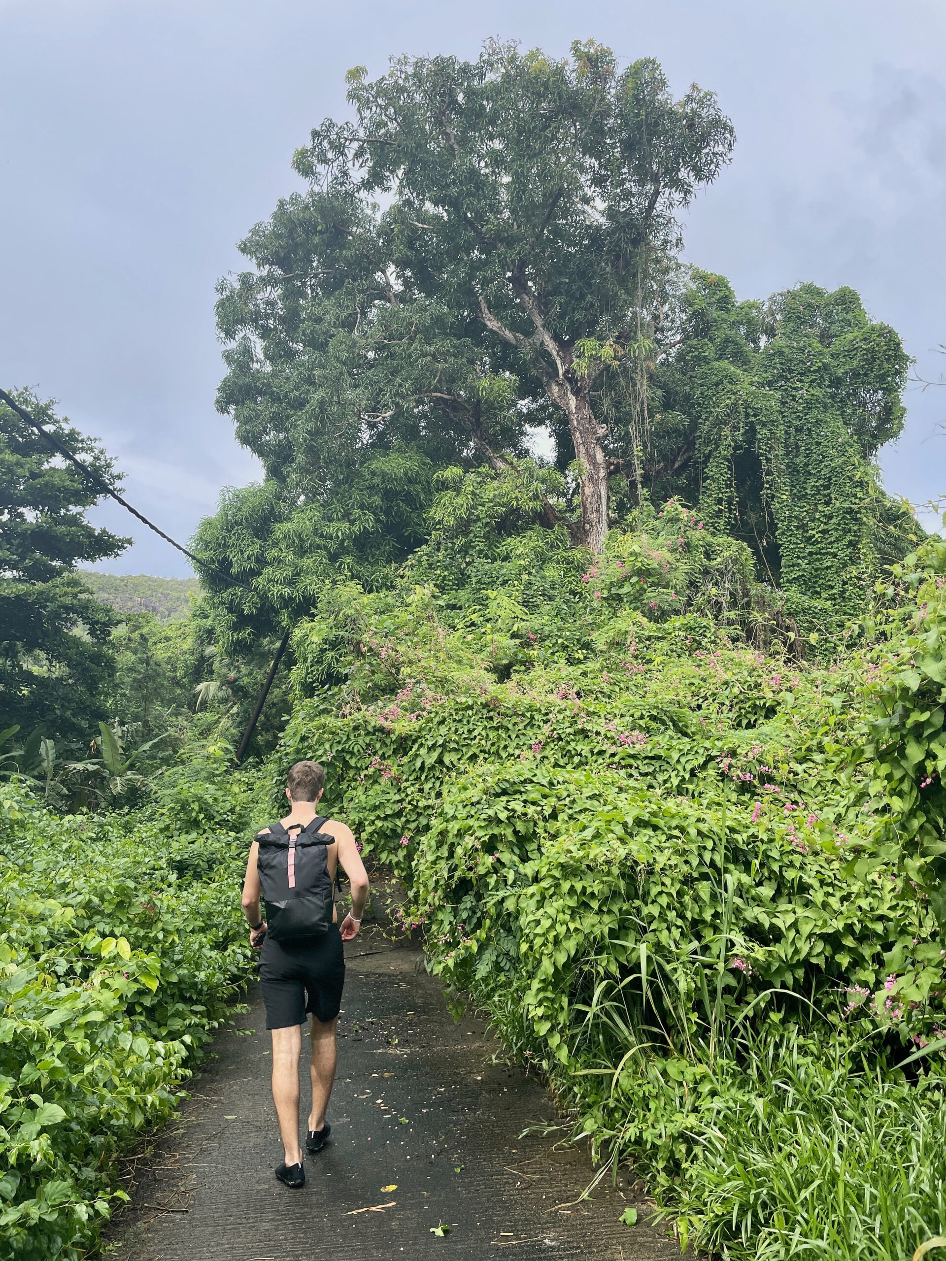 Wanderung zur Anse Petite Boileau