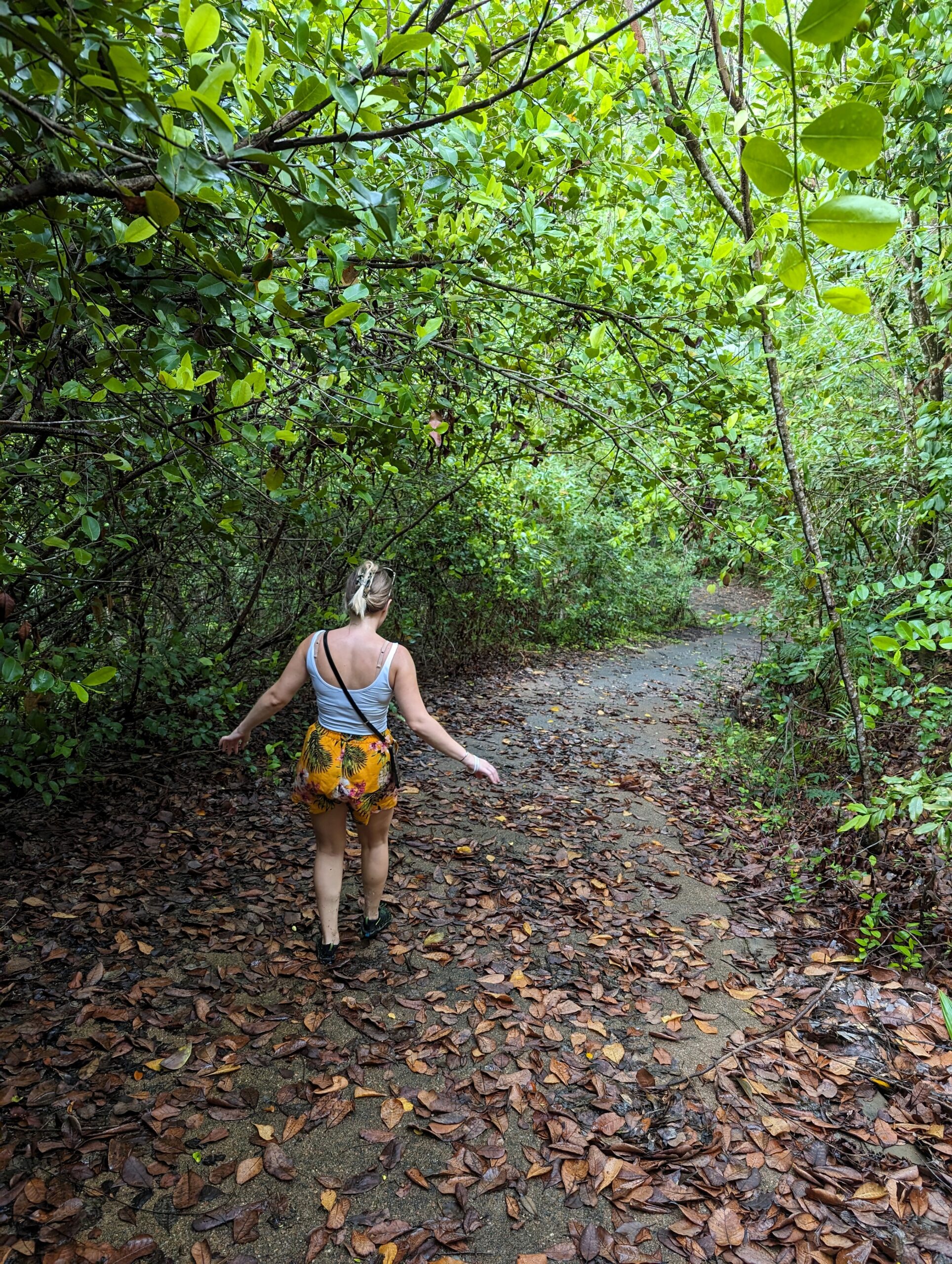 Wanderung zur Anse Petite Boileau