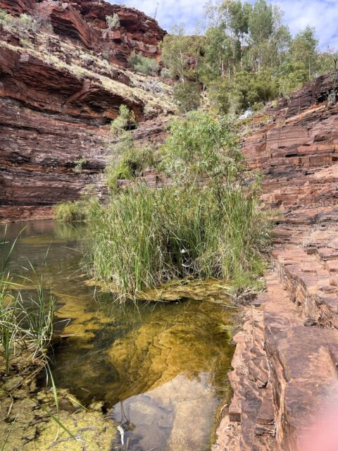 Fortescue Falls