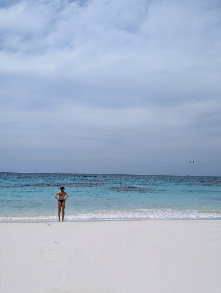 Parakeet Bay