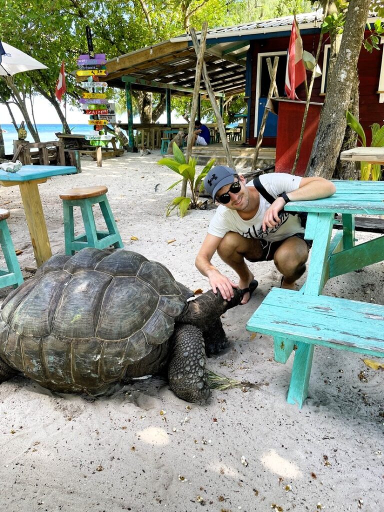 Schildkröte La Digue