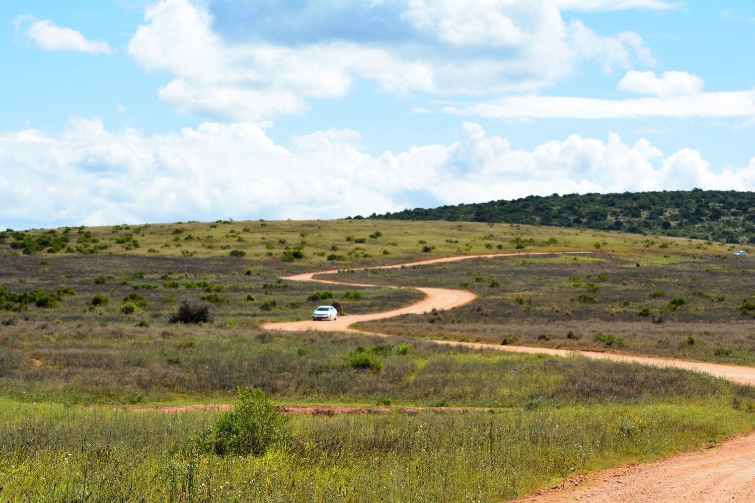 Straßen im Addo Elephant Nationalpark