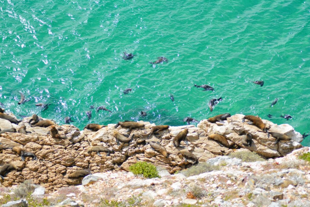 Robberg Nature Reserve